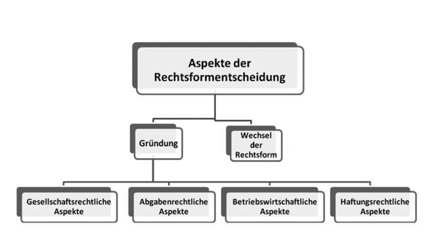 Aspekte der Rechtsformentscheidung