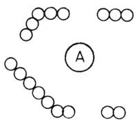 61064986.jpg 61064986.jpg