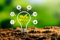 Weniger Bürokratie, mehr Chancen durch einen Nachhaltigkeitsbericht nach VSME