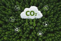 Bedeutende Vereinfachungen beim CBAM beschlossen