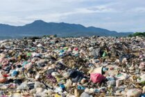 Abfallwirtschaftszentrum Gemeinde – Aufgaben, Rollen, Problemstellungen