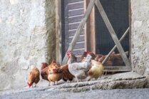 Das ewige Streitthema Lärmbelästigung