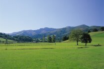 Jetzt verbindlich: ESRS-Standards für die Nachhaltigkeitsberichterstattung