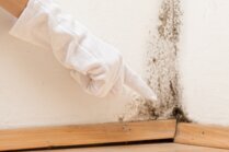 Schimmelbildung in der Mietwohnung