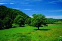 Stress im Job: Kleine Inseln halten Mitarbeiter im Arbeitsalltag gesund