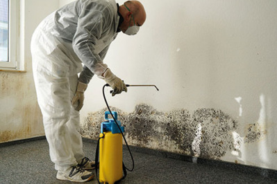 Schimmelpilz in Gebäuden