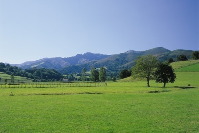 Jetzt verbindlich: ESRS-Standards für die Nachhaltigkeitsberichterstattung