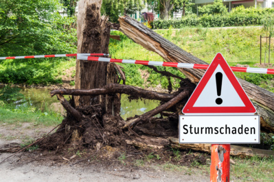 Sturmschäden: Haftung der Gemeinde?