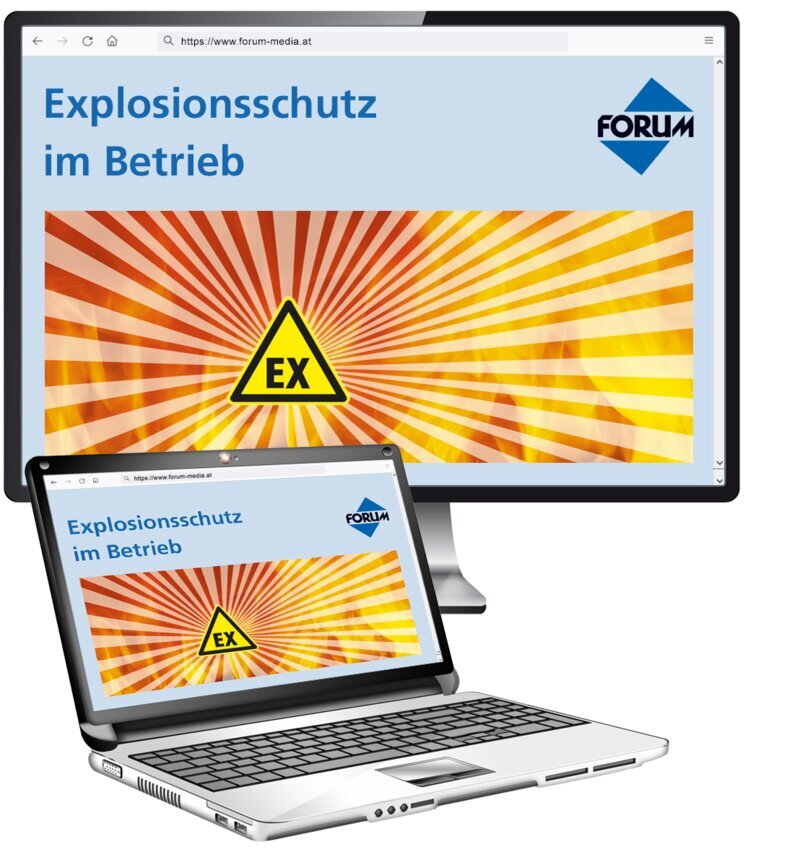 Explosionsschutz im Betrieb - OnlineBuch