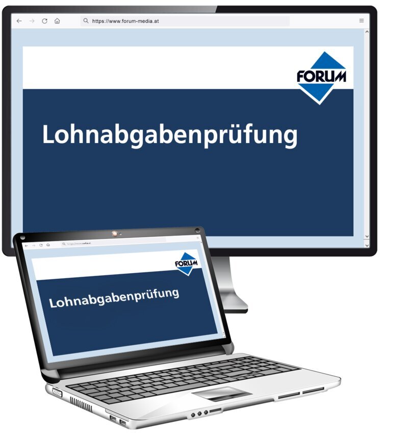 Lohnabgabenprüfung - OnlineBuch