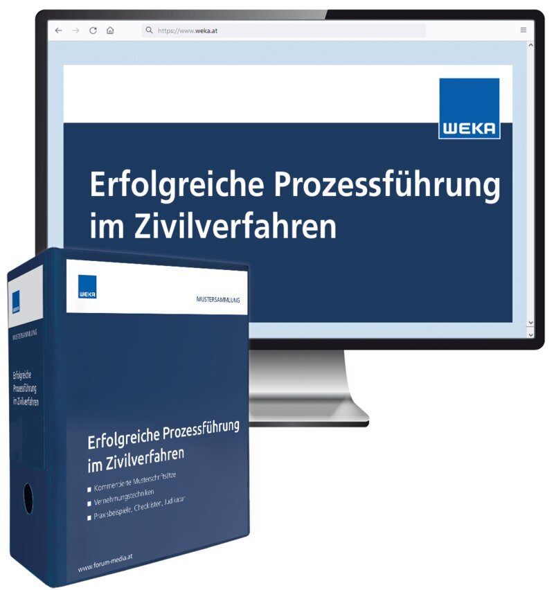 Erfolgreiche Prozessführung im Zivilverfahren - Handbuch