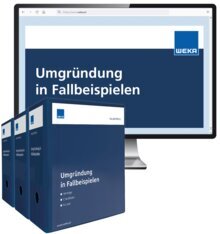 Umgründung in Fallbeispielen